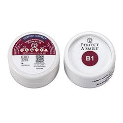PERFECT-A-SMILE PONTIC PASTE SHADE B1 PPB1