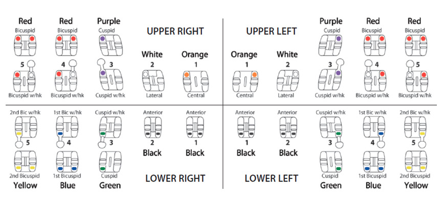 focus identification chart